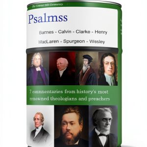 Christian Old Testament Commentary English Kindle eBook-0