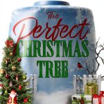 Christmas Romance eBook Young Adult Bisexual Fiction Series-0