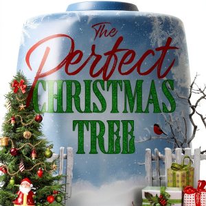 Christmas Romance eBook Young Adult Bisexual Fiction Series-0
